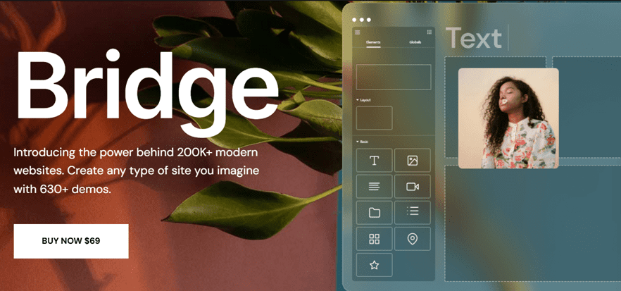 Screenshot of bridge Envato WordPress theme homepage demo – demo master theme